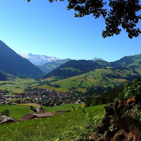 Sonnegg Hotel Zweisimmen Esterno foto