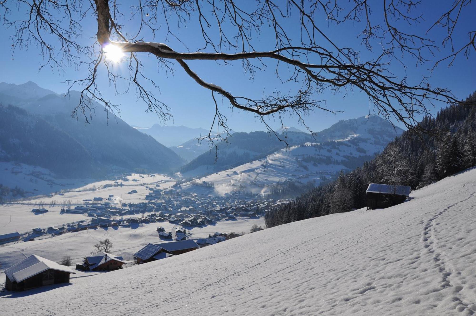 Sonnegg Hotel Zweisimmen Esterno foto